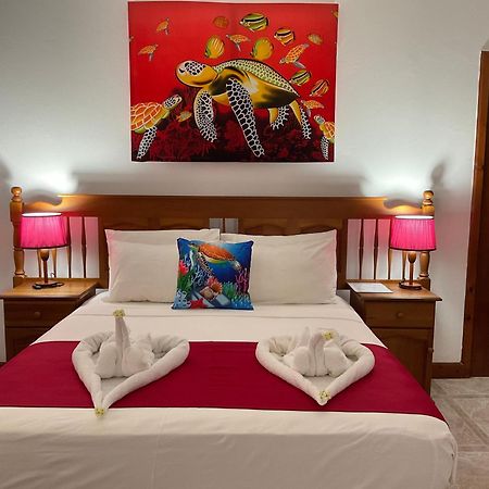 אנס לזיו Le Chevalier Bay Guesthouse מראה חיצוני תמונה